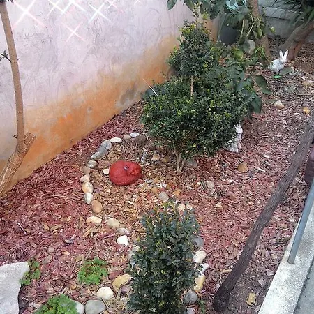 Appartamento Apartments Zara *