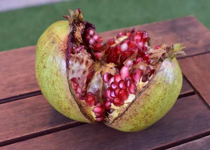 דירה Apartments Zara