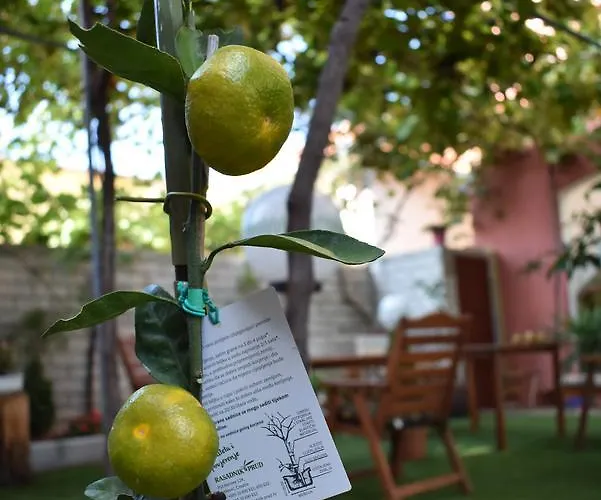 Apartments Zara شقة *