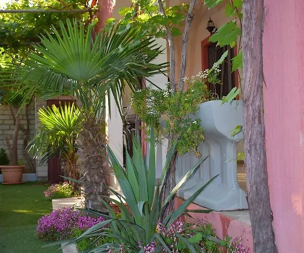 Apartments Zara דירה